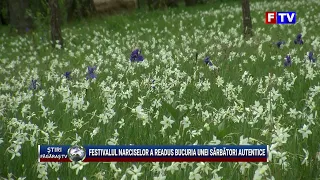 The Narcissus Festival has brought back the joy of an authentic celebration