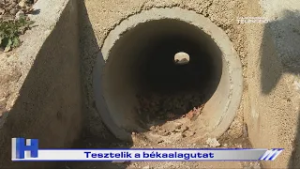 Tesztelik a békaalagutat – ZTV Híradó 2026-03-05