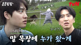 [EP.5 Preview] ※Beware of the Horse-Eyed-Manic※ Who is the stranger appearing at the hardest-leve...