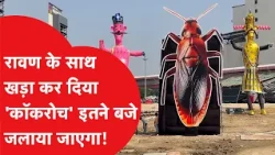 'A Symbol of Filth or a Major Political Dig?' Cockroach Effigy to be Burned Alongside Ravana at D...