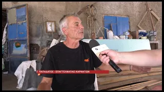 ΠΡΟΒΛΗΜΑΤΙΣΜΕΝΟΙ ΟΙ ΕΠΑΓΓΕΛΜΑΤΙΕΣ ΓΙΑ ΤΗ ΔΙΑΔΙΚΑΣΙΑ ΜΕΤΑΦΟΡΑΣ ΤΩΝ ΚΑΡΝΑΓΙΩΝ