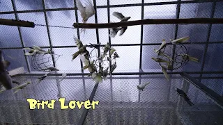 PESONA INDONESIA - Bird Lover