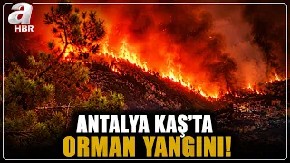 Forest fire in Antalya! Response with 3 planes and 6 helicopters | A Haber
