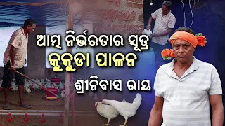 ଆତ୍ମନିର୍ଭରତାର ସୂତ୍ର କୁକୁଡ଼ା ପାଳନ | Success Story of Srinivas Ray | Krishi Darshan | DD Odia