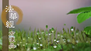 【靜思妙蓮華】法華經方便品第二 - 究竟諸法實相 - 第205集｜共修版