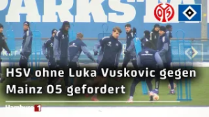 Seit 5 Bundesliga-Partien ungeschlagen: HSV will Serie beim 1. FSV Mainz 05 weiter ausbauen