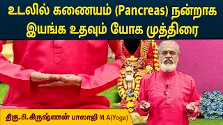 உடலில் கணையம் ( Pancreas ) நன்றாக இயங்க உதவும் யோக முத்திரை | Krishnan Balaji | MEGA TV