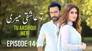 Tu Aashiqui Meri - Episode 14 | Hiba Bukhari, Junaid Khan | New Pakistani Drama | HD Drama