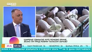 Afrička kuga svinja ponovo zadaje probleme stočarima u regionu;Situacija u Srpskoj znatno povoljnija