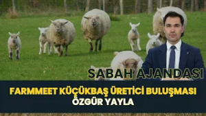 SABAH AJANDASI I FARMMEET KÜÇÜKBAŞ ÜRETİCİ BULUŞMASI - ÖZGÜR YAYLA