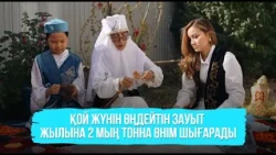 Ақтөбеде қой жүнін өңдейтін зауыт жылына 2 мың тонна өнім шығарады