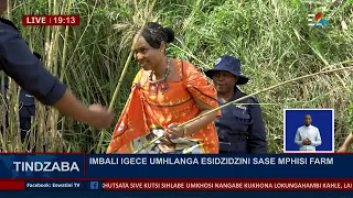 Older Imbali proceeded to Mphisi Farm to cut the reed