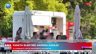 Electrocuted at the park