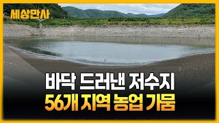 바닥 드러낸 저수지…56개 지역 농업 가뭄 [세상만사] #가뭄 #저수지 #농업가뭄