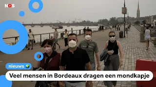 Heavy smoke from wildfires in France, face masks sold out