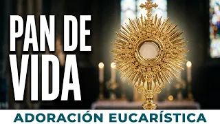 Eucharistic Adoration | Thursday, August 20, 2026