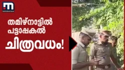കണ്ണില്ലാത്ത ക്രൂരത! പട്ടാപ്പകൽ സ്‌ത്രീയെ 'ചിത്രവധം' ചെയ്തു! സംഭവം തമിഴ്‌നാട്ടിൽ | Tamilnadu
