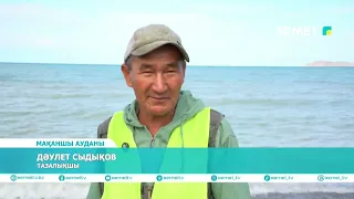 КӨЛ ЖАҒАСЫНДАҒЫ МАҢДАЙ ТЕР
