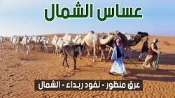 عساس الشمال | عرق منظور - نفود ربداء - الشمال ( 6-4-1441 هـ)