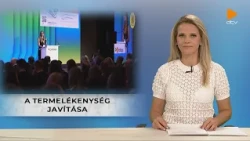 Debrecen Televízió Híradó  (2026.10.08.)