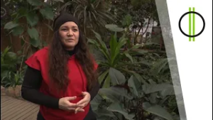 27 éves a Zanzibár zenekar