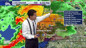 Rain is expected this weekend across the Tampa Bay area