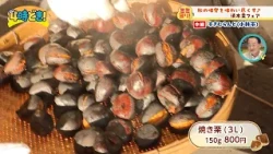 秋の味覚を味わい尽くす「〜須木栗フェア〜すきむらんど」（小林市）2026年10月16日（金）「4時どき！」
