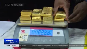 Tanzanie :  vers une vente partielle des réserves d'or pour financer des projets d'infrastructures