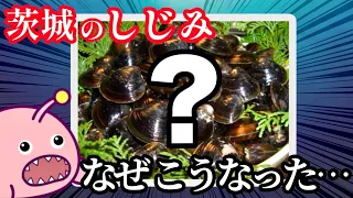Shijimi Clam Escape