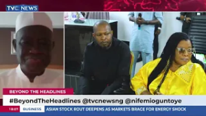 No Deadline Crisis: ADC Has Enough Time for e-Registration. - INEC Commissioner