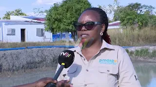 Fish farming: Over a thousand young people to be trained in aquaculture in the country
