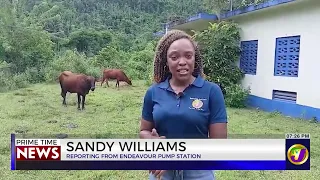 Dry Taps: The Search For A Missing Pump | TVJ News