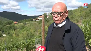 VINOGRAD SELO MAJDEVO
