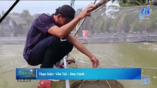 Tay Ninh to Develop 64 Aquaculture Demonstration Models from 2026 to 2030