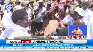 Livestock Theft: CS Kagwe Says Animal Tracking Technology Will Help Curb Cattle Rustling