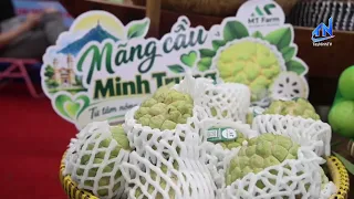 Tay Ninh Paves the Way for Sustainable Agricultural Development