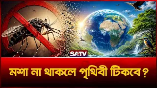 পৃথিবী থেকে সব মশা উধাও হয়ে গেলে কী হবে? | Mosquito | Science