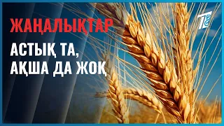 No grain and no money