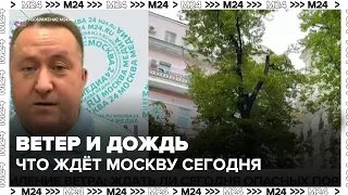 Strong winds and rain expected in Moscow on August 19