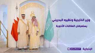 وزير الخارجية ونظيره البحريني يؤكدان أهمية حرية الملاحة في الخليج