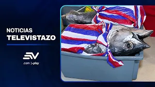 Guayaquil: Albacore and other seafood are more expensive due to El Niño | Televistazo | Ecuavisa