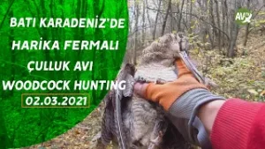 WOODCOCK HUNTING TEAM NERAS BATI KARADENİZ ÇULLUK AVI