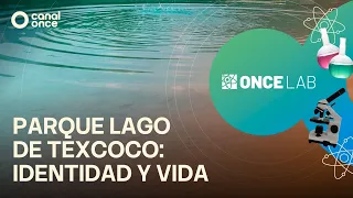 Once Lab - Lake Texcoco Park: Identity and life (07/25/2026)
