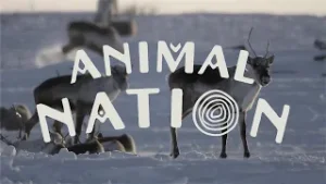 Animal Nation | Season 1 Trailer