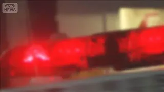 "Self-Proclaimed Pro Baseball Player" Arrested in Hit-and-Run of 40-Year-Old Man in Parking Lot, ...