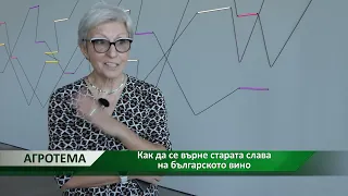 Агротема: Как да се върне старата слава на българското вино