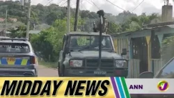 Stray Aminals Pose Growling Challenges For Farmers | Midday News
