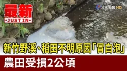 Mysterious White Foam Bubbles Up in Hsinchu Creek and Rice Paddies, 2 Hectares of Farmland Damage...
