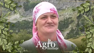 Borba za opstanak na selu: Ko donosi spas? - AGROSAZNANJE