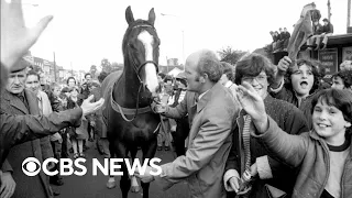 Whodunnit? The 40-year mystery that shocked horse racing